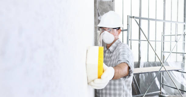 Best Emergency Mold Remediation in USA